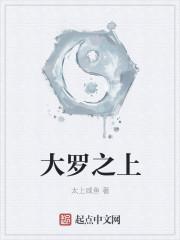 大罗之上百度百科